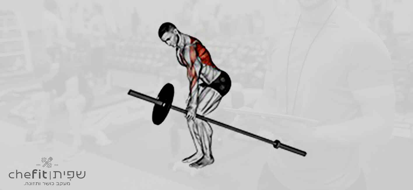 barbell one arm bent over row | חתירה ביד אחת בכפיפה עם מוט