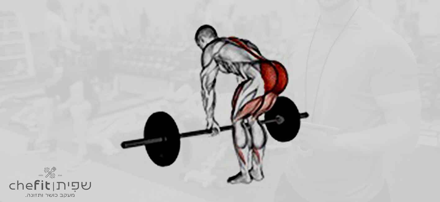 barbell romanian deadlift | דדליפט רומני עם מוט