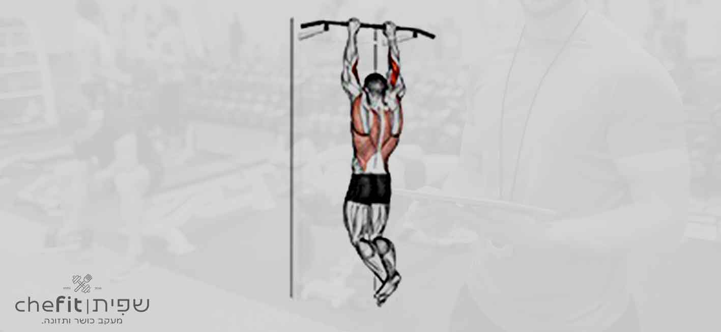biceps pull-up | מתח לביספס