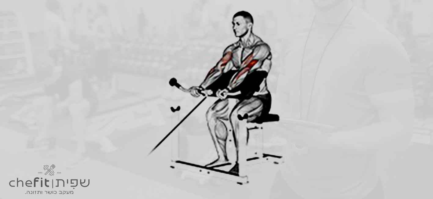 cable preacher curl | כפיפת מרפק על ספסל פריצ'ר בכבל
