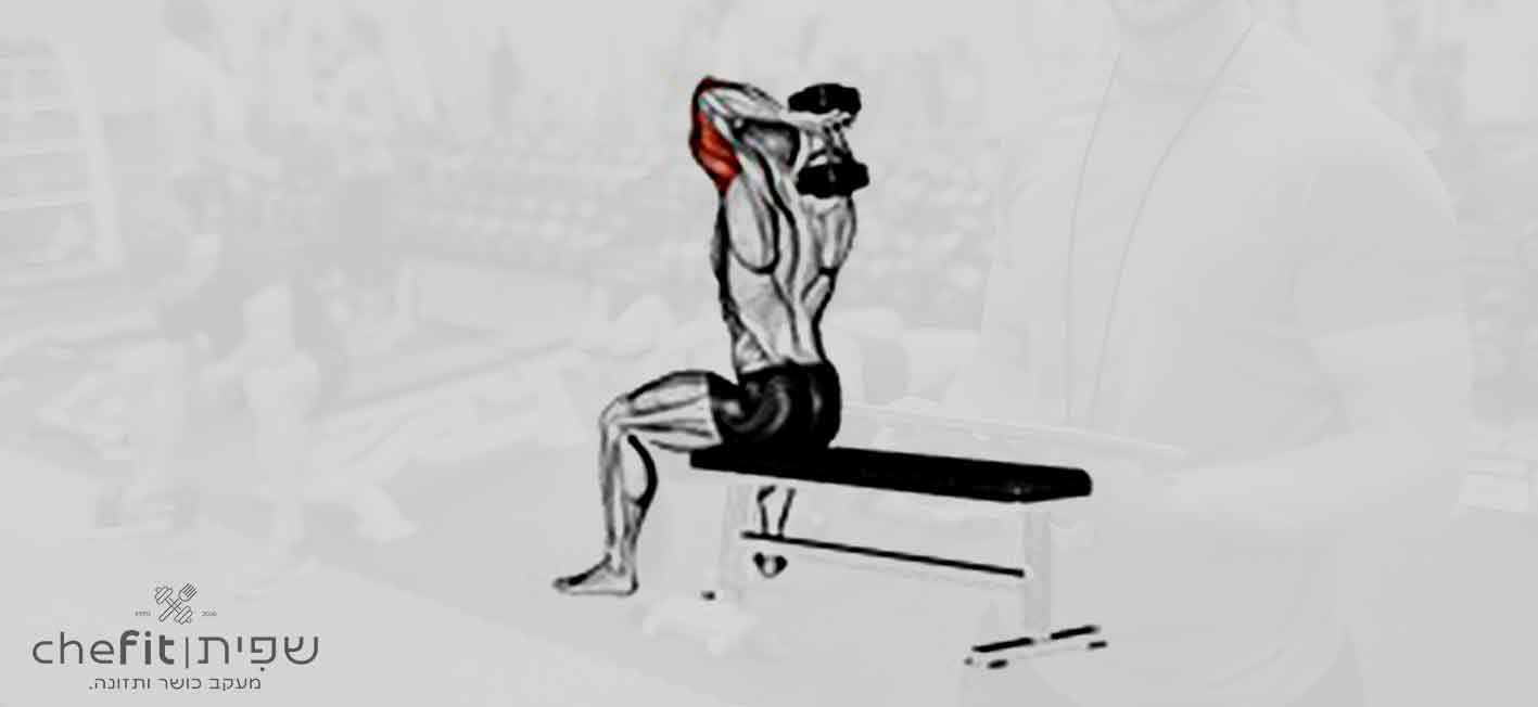 dumbbell seated bench extension | הקפת טרייספס בדמבל בישיבה על ספסל