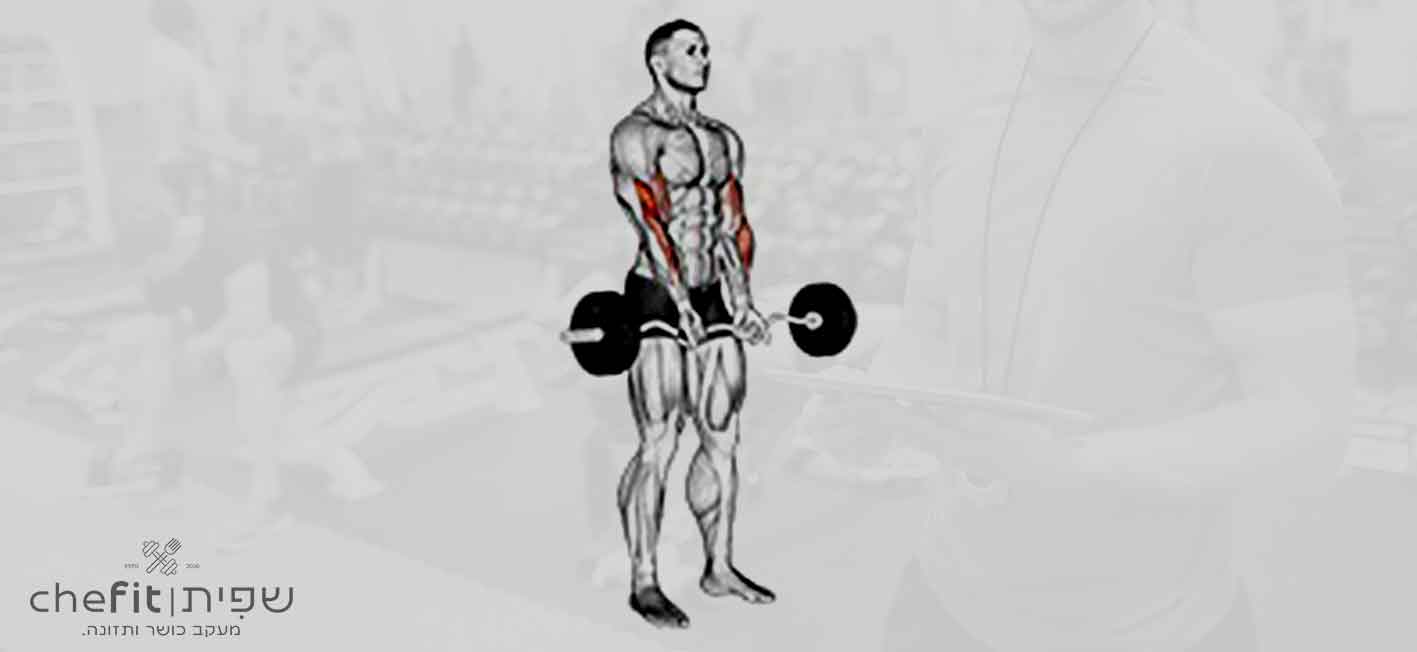 ez barbell close-grip curl | כיפוף באחיזה צרה עם מוט EZ