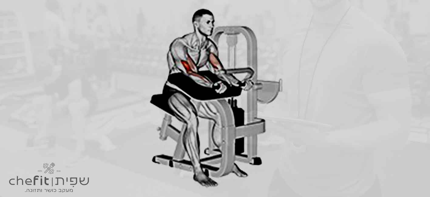 lever preacher curl | כפיפת פריצ'ר במכונת מנוף