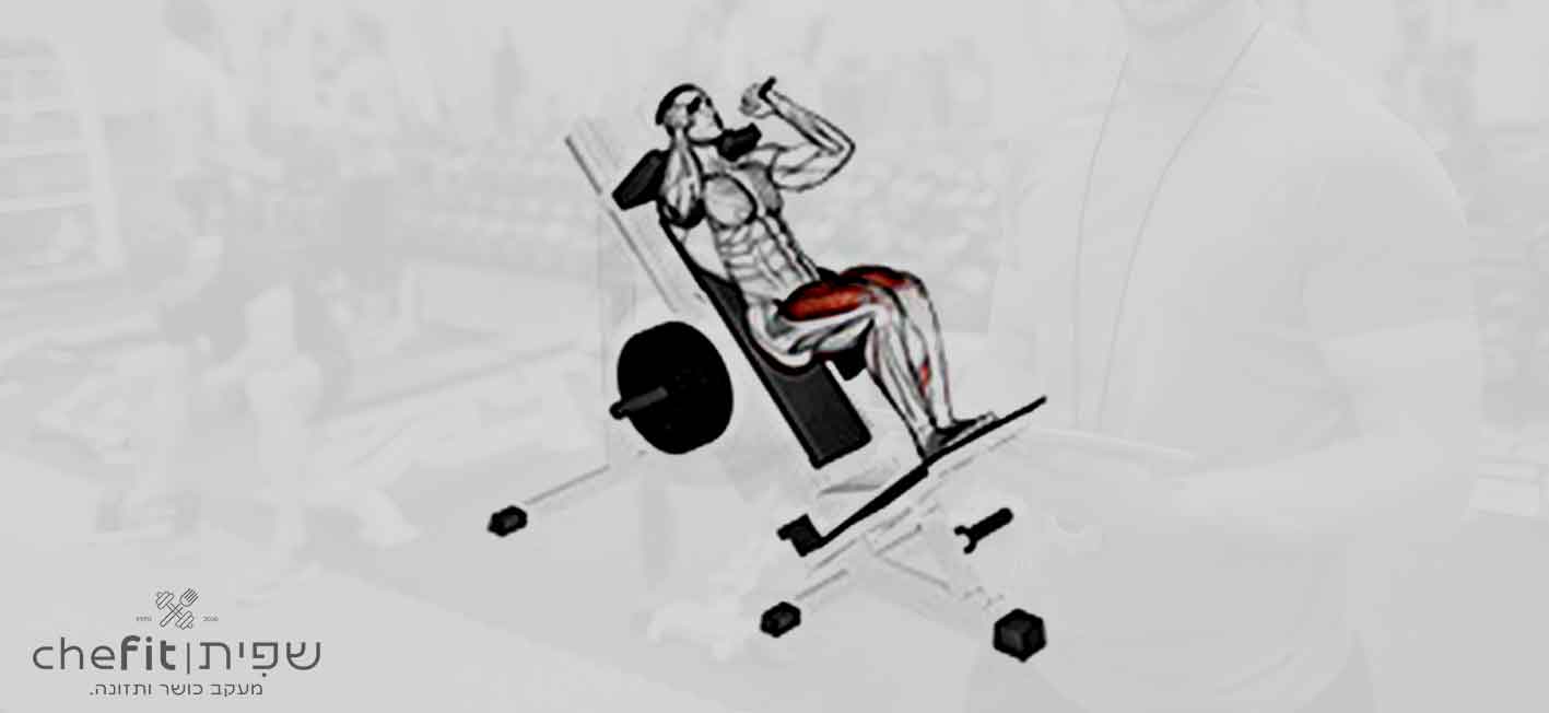 sled closer hack squat | האק סקוואט צמוד בסלד - שפית | chefit