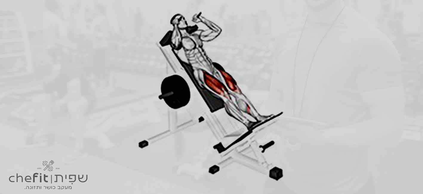 sled hack squat | האק סקוואט בסלד - שפית | chefit