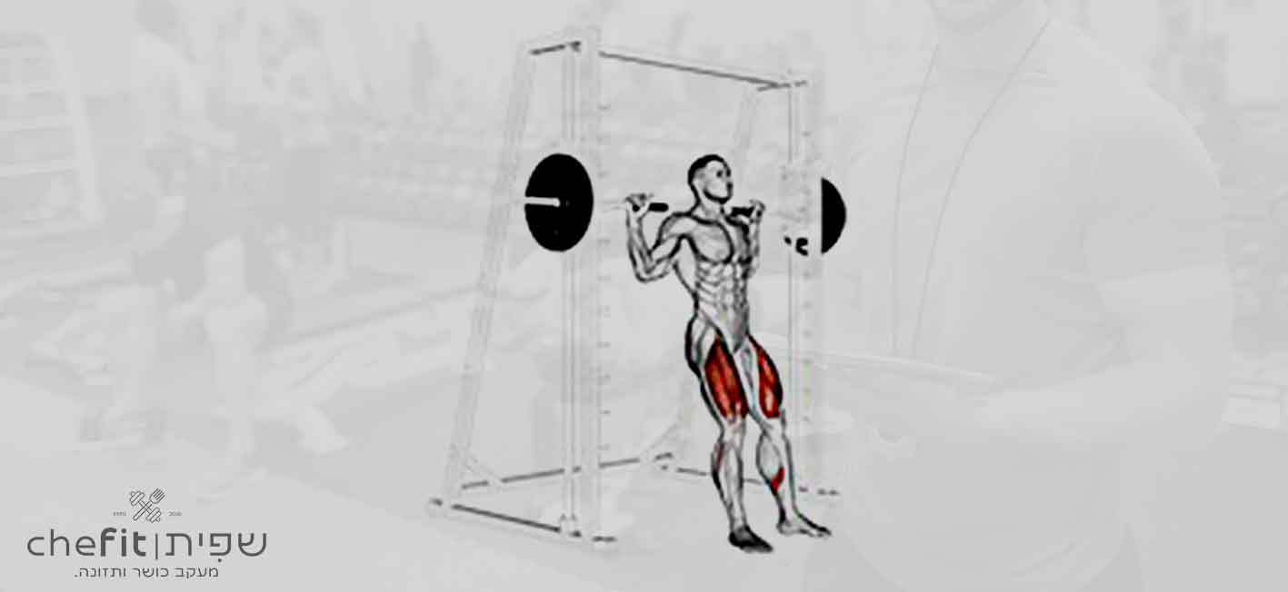smith chair squat | סקוואט כיסא בסמית