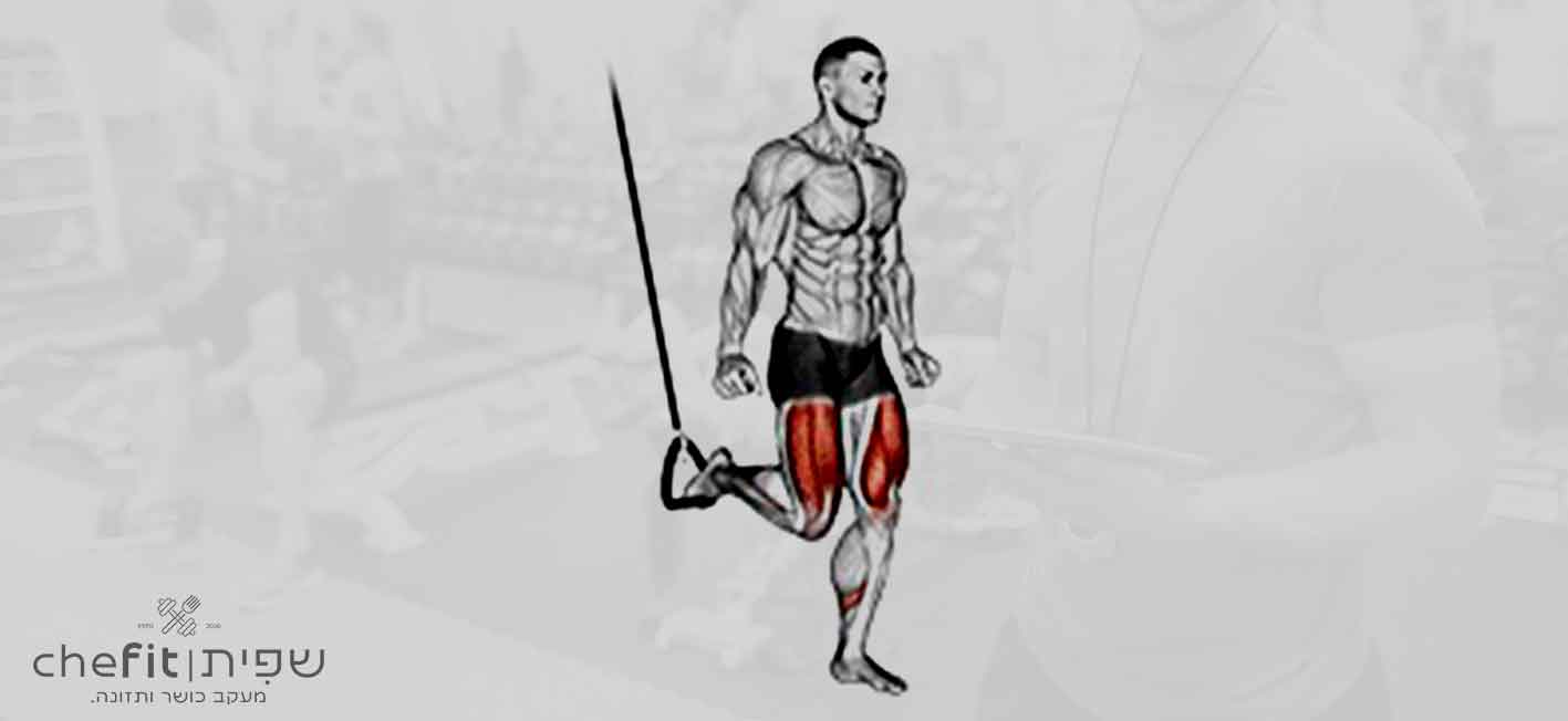 suspended split squat | ספליט סקוואט בתלייה