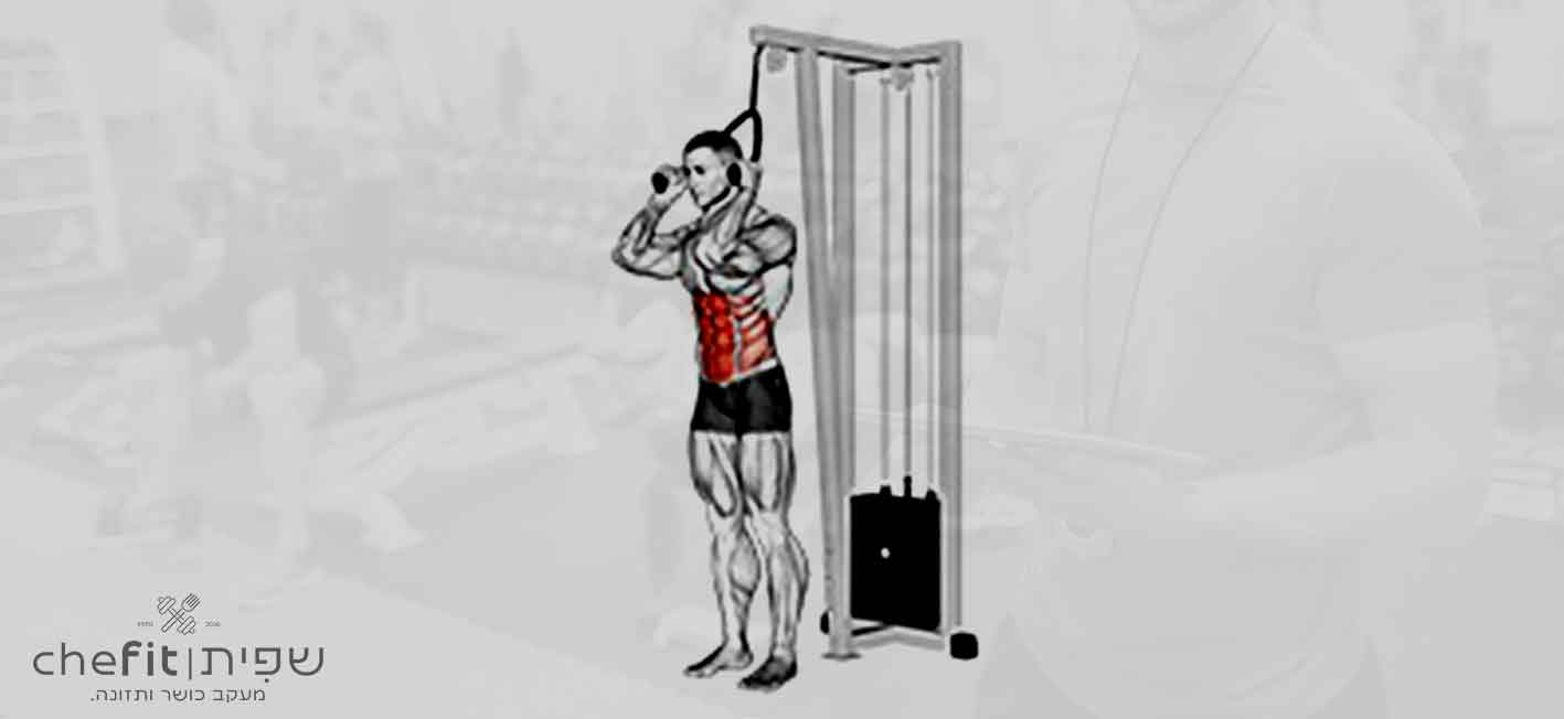 cable standing crunch (with rope attachment) | כפיפת בטן בעמידה בכבל (עם חבל)