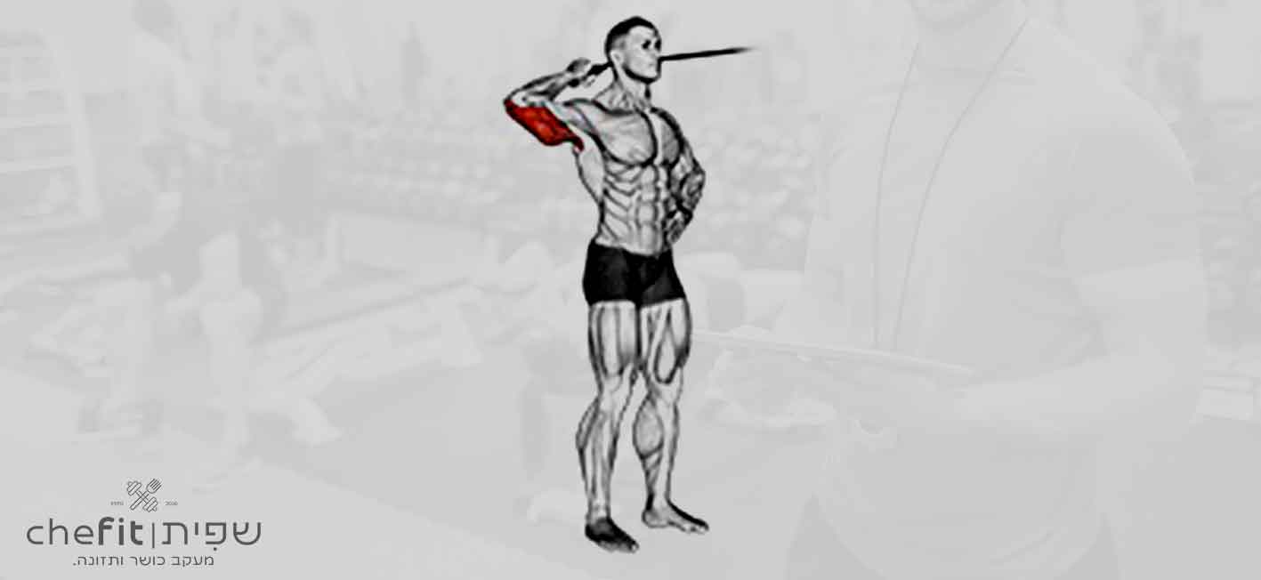 band side triceps extension | הרחבת טרייספס צידית עם גומייה