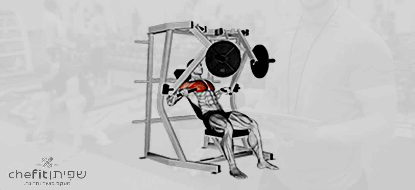lever decline chest press | לחיצת חזה בשיפוע שלילי במנוף