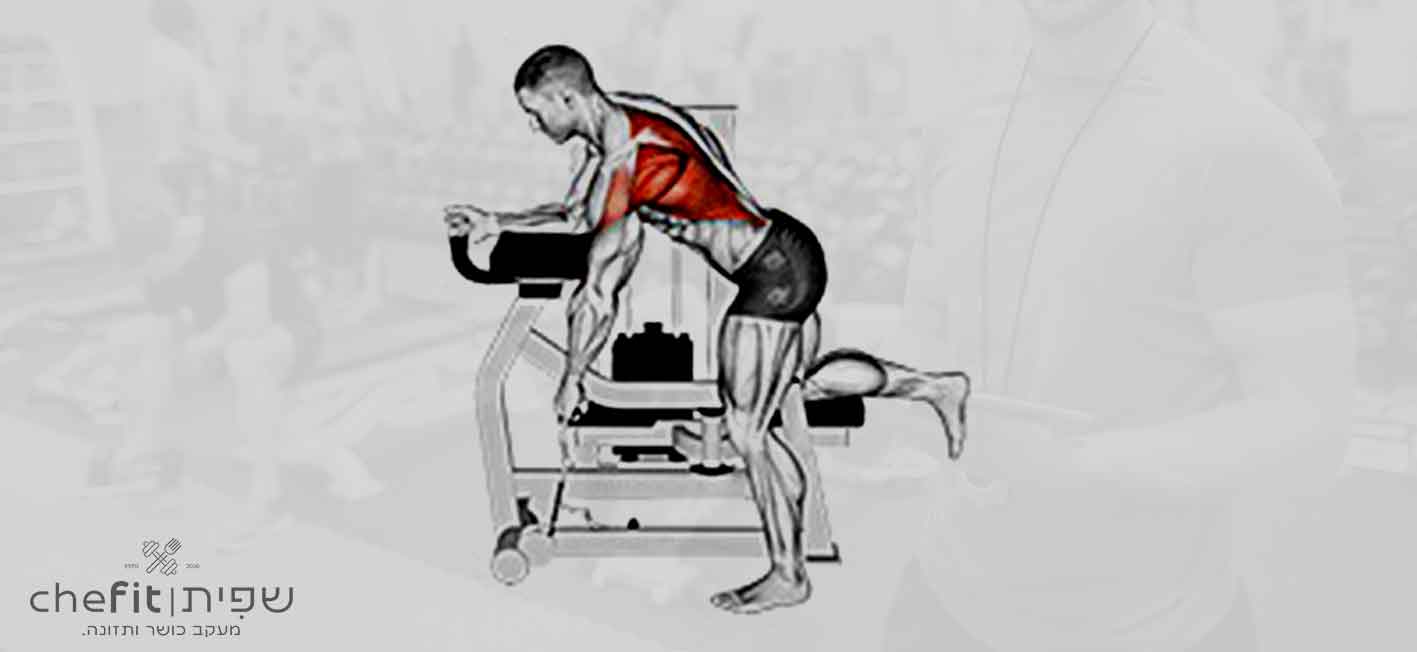 lever unilateral row | חתירה חד-צדדית במכונת מנוף