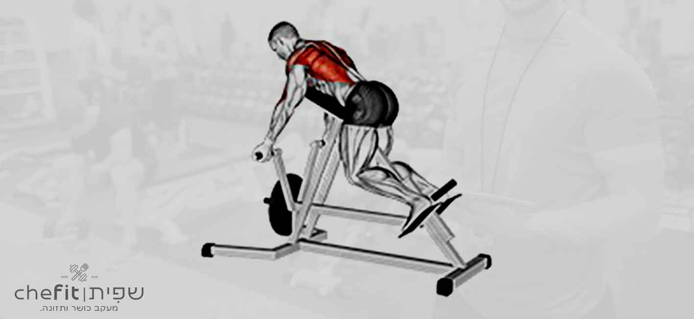 lever reverse t-bar row | חתירת טי-בר הפוכה במנוף