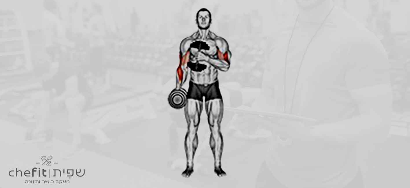 dumbbell cross body hammer curl v. 2 | כפיפת פטיש צולבת במשקולות יד גרסה 2