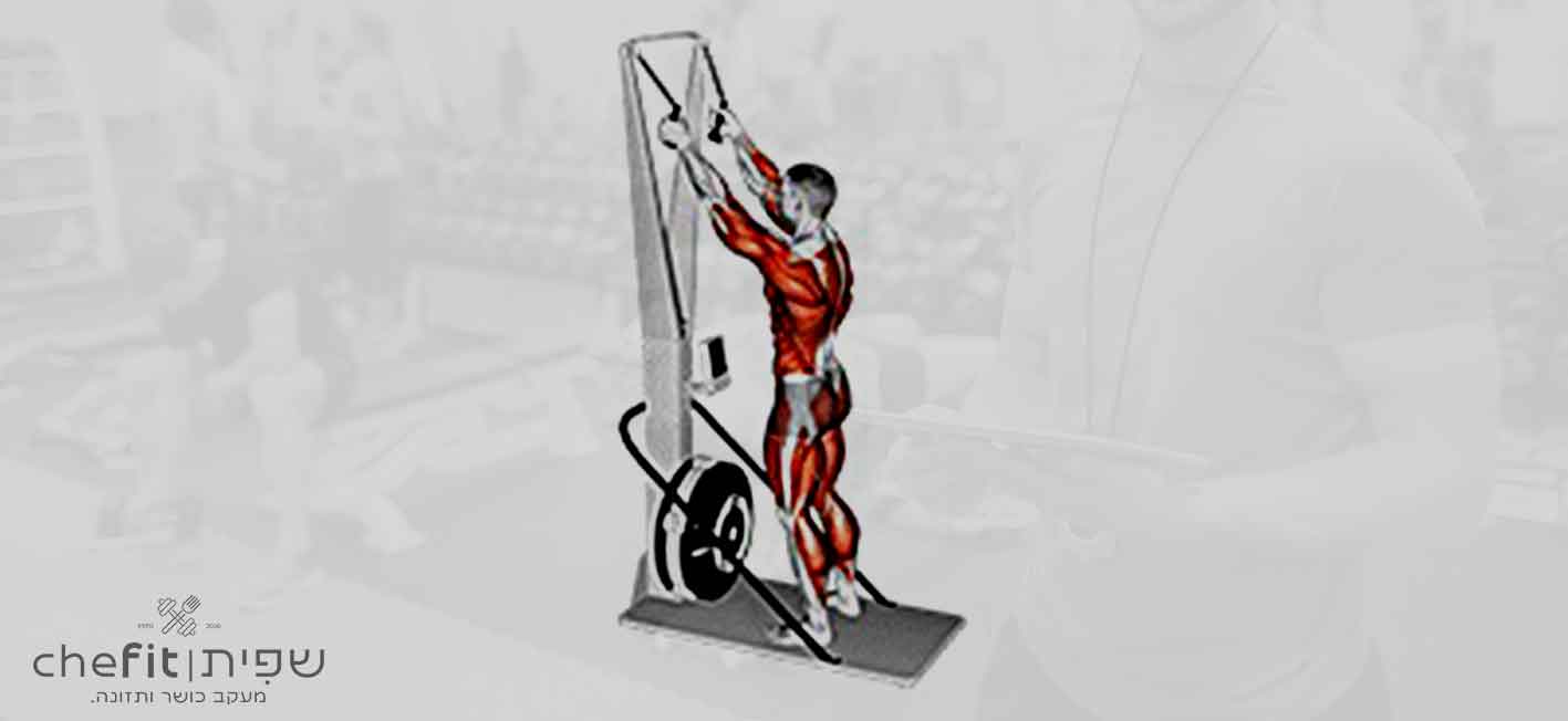 ski ergometer | ארגומטר סקי