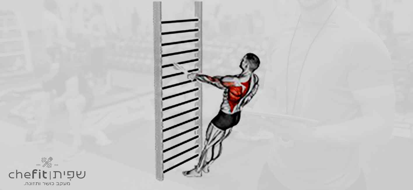 bodyweight standing one arm row (with towel) | חתירה ביד אחת בעמידה עם מגבת במשקל גוף
