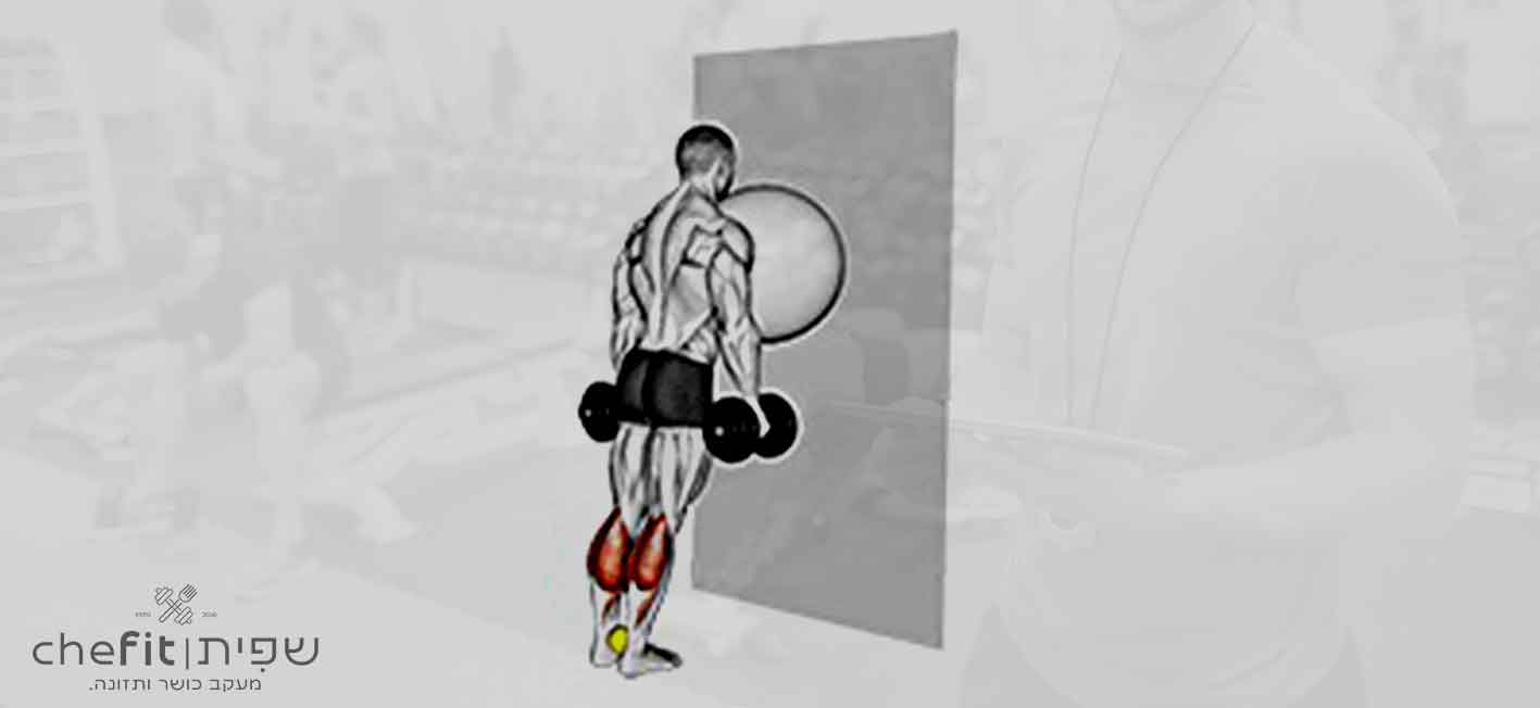 exercise ball on the wall calf raise (tennis ball between ankles) | הרמת שוקיים עם כדור פיזיו על הקיר (כדור טניס בין הקרסוליים)