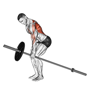 barbell one arm bent over row | חתירה ביד אחת בכפיפה עם מוט
