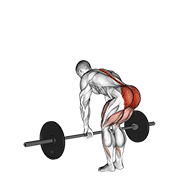 barbell romanian deadlift | דדליפט רומני עם מוט