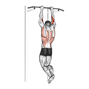 biceps pull-up | מתח לביספס