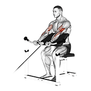cable preacher curl | כפיפת מרפק על ספסל פריצ'ר בכבל