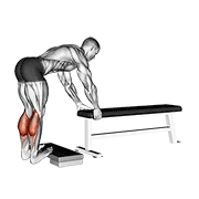 donkey calf raise | הרמת שוקיים בתנוחת חמור