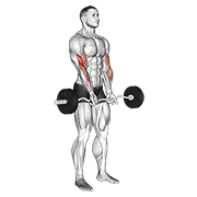 ez barbell close-grip curl | כיפוף באחיזה צרה עם מוט EZ