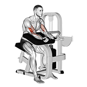 lever preacher curl | כפיפת פריצ'ר במכונת מנוף