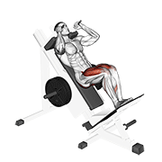 sled closer hack squat | האק סקוואט צמוד בסלד - שפית | chefit