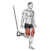 suspended split squat | ספליט סקוואט בתלייה