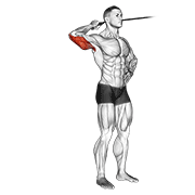 band side triceps extension | הרחבת טרייספס צידית עם גומייה