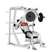 lever decline chest press | לחיצת חזה בשיפוע שלילי במנוף