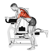 lever unilateral row | חתירה חד-צדדית במכונת מנוף