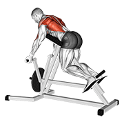 lever reverse t-bar row | חתירת טי-בר הפוכה במנוף