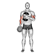 dumbbell cross body hammer curl v. 2 | כפיפת פטיש צולבת במשקולות יד גרסה 2