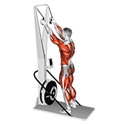 ski ergometer | ארגומטר סקי