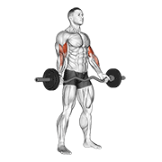 ez-barbell standing wide grip biceps curl | כיפוף ביספס באחיזה רחבה בעמידה עם מוט EZ