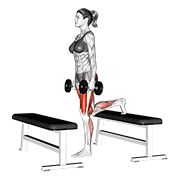 dumbbell step-up lunge | עליית מדרגה עם לאנג׳ עם משקולת יד