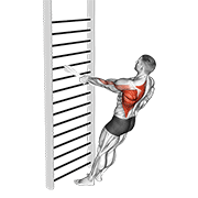 bodyweight standing one arm row (with towel) | חתירה ביד אחת בעמידה עם מגבת במשקל גוף