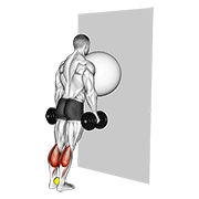 exercise ball on the wall calf raise (tennis ball between ankles) | הרמת שוקיים עם כדור פיזיו על הקיר (כדור טניס בין הקרסוליים)