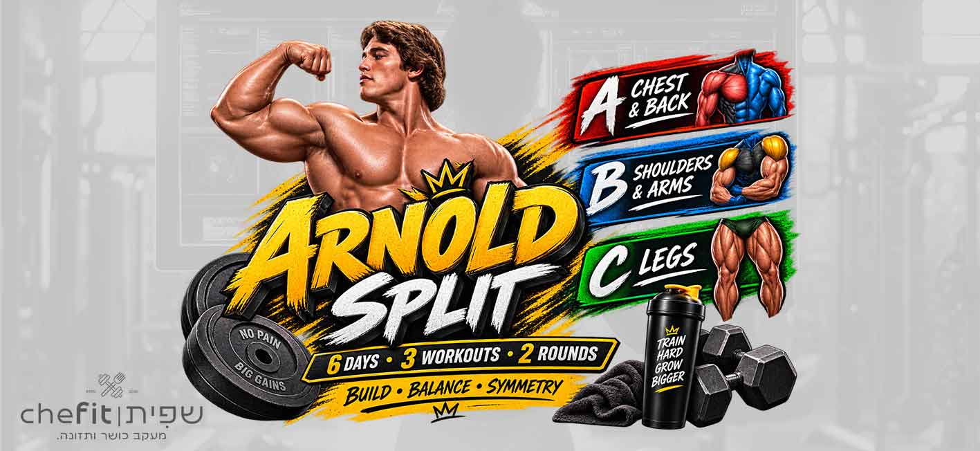 Arnold Split חזה וגב / כתפיים וידיים / רגליים